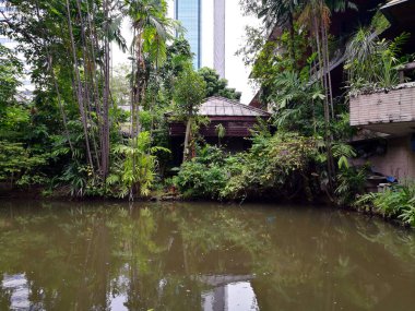 Bangkok - Suan Pakkad Sarayı