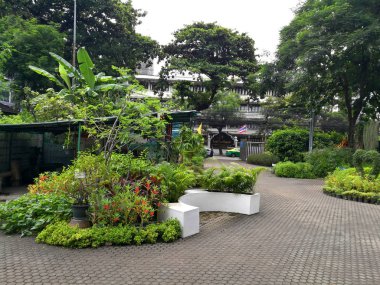 Bangkok - Santiphap Park (Barış Parkı)
