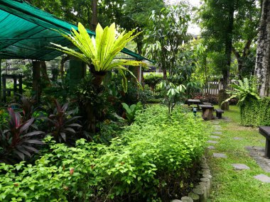 Bangkok - Santiphap Park (Barış Parkı)