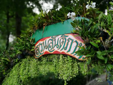 Bangkok - Santiphap Park (Barış Parkı)