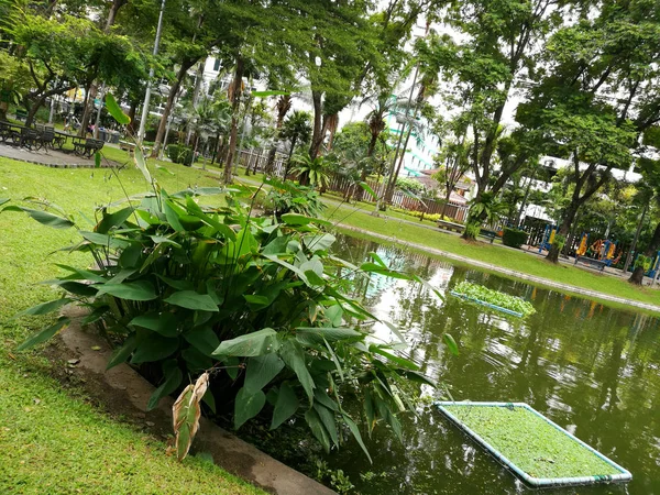Бангкок - Парк Сантипхап (Парк Мира) ) — стоковое фото