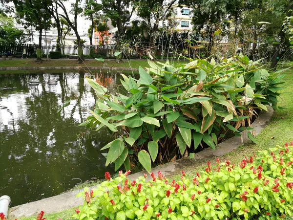 Bangkok - Santiphap Park (Parque de la Paz ) — Foto de Stock