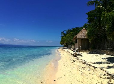 Beyaz Kum Plajı ve Moalboal turkuaz okyanus, Cebu, Filipinler