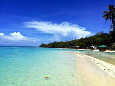 Beyaz Kum Plajı ve Moalboal turkuaz okyanus, Cebu, Filipinler