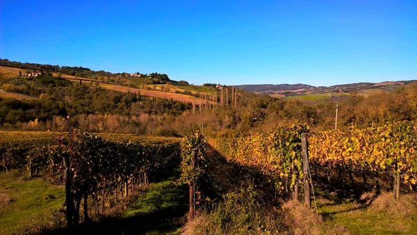 Wunderschöne und farbenfrohe Weinberge in der Toskana, Italien — Stockfoto
