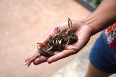 Miras köyü Mallika City R.E. 124 otantik görüntüleri