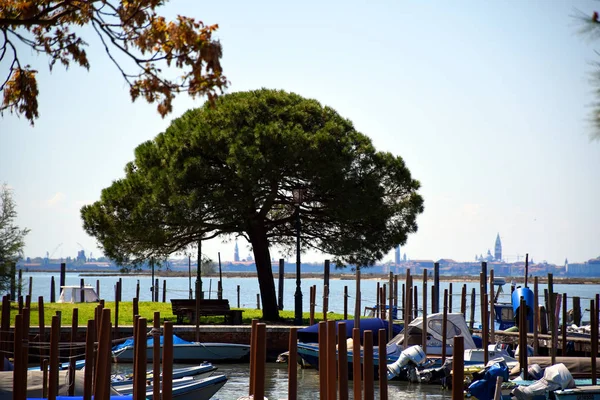 Burano Italia Iulie 2019 Dock Lovely Uimitor Fresh Vibrant Super — Fotografie, imagine de stoc