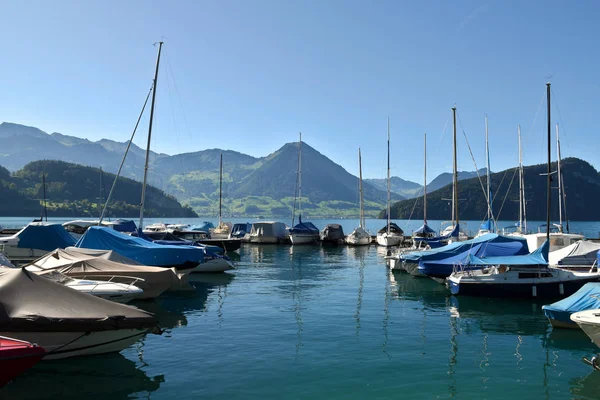 Vitznau Švýcarsko Září 2019 Plachetnice Přístavu Vitznau Jezera Lucerne Pohořím — Stock fotografie