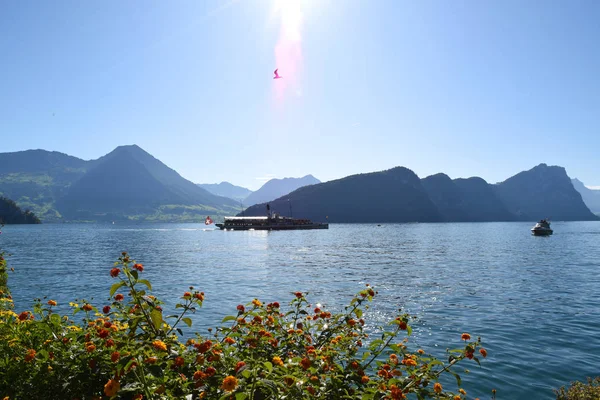 Vitznau Suiza Septiembre 2019 Barco Vapor Con Bandera Suiza Cruzando — Foto de Stock