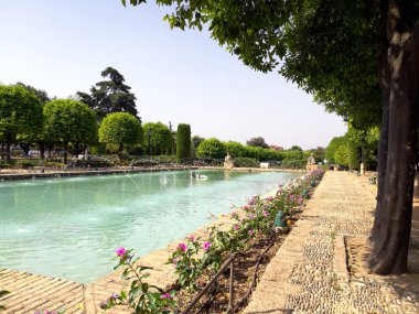 Cordoba, İspanya 07.13.2017: Güzel, çarpıcı ve şaşırtıcı derecede renkli, yansıyan gölleri ve Hıristiyan Monarşisi Alcazar 'ın renkli çiçekleriyle dolu bir bahçe. 