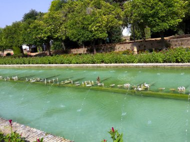 Cordoba, İspanya 07.13.2017: Güzel, çarpıcı ve şaşırtıcı derecede renkli, yansıyan gölleri ve Hıristiyan Monarşisi Alcazar 'ın renkli çiçekleriyle dolu bir bahçe. 