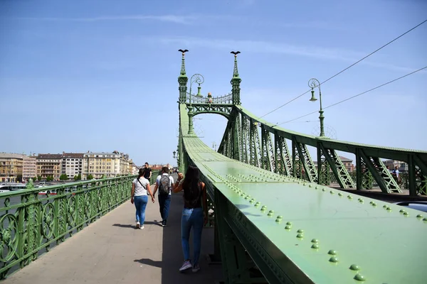 Budapest Hungary 2019 Híres Zöld Szabadság Híd Szabadság Híd Duna — Stock Fotó