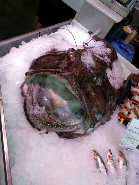 Madrid 'deki San Miguel Pazarı