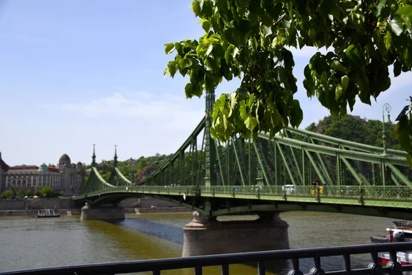 Budapest Hungría 2019 Famoso Verde Puente Libertad Puente Libertad Sobre — Foto de Stock