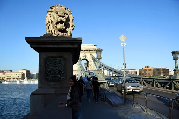 Budapest Hungría 2019 Los Famosos Gigantes Temerosos Leones Del Puente — Foto de Stock