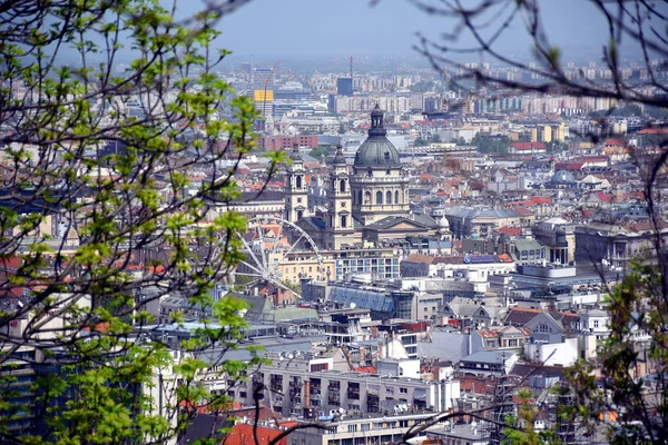 Budapest Hungría 2019 Vista Panorámica Ciudad Pest Junto Basílica Católica —  Fotos de Stock