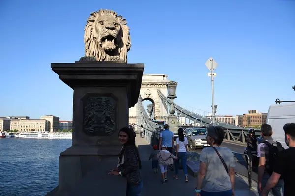 Budapest Hungría 2019 Los Famosos Gigantes Temerosos Leones Del Puente —  Fotos de Stock