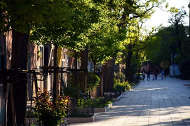 Venedik, İtalya, 04.19.2019 Venedik 'in rahat, rahatlatıcı, romantik caddeleri ve muhteşem mimarisi.
