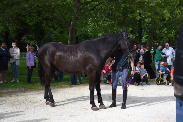 Milan Italy 2019 Italian Mounted Police Patrolling Piazza Sempione Simplon — ストック写真