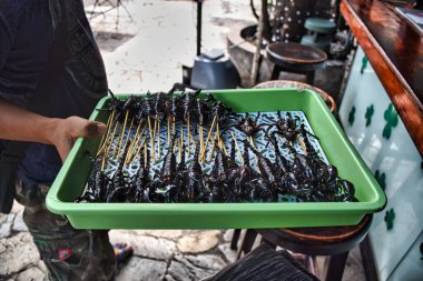 Bangkok, Tayland 01.06.2020: Taylandlı bir adam Bangkok 'un ünlü Khaosan Yolu veya Khao San Yolu' nda kızarmış akrep satıyor. Bölge uluslararası alanda dans ve parti merkezi olarak bilinir.