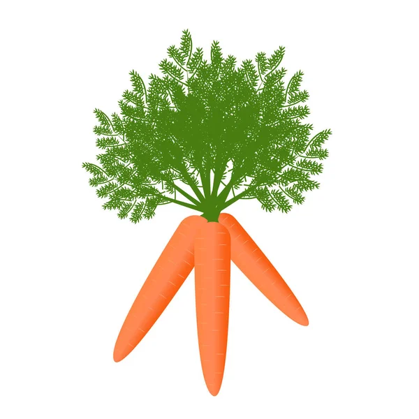 Fikirlerin için sebze havucu. Fikirleriniz, yazıcılarınız, dokularınız için mükemmel.