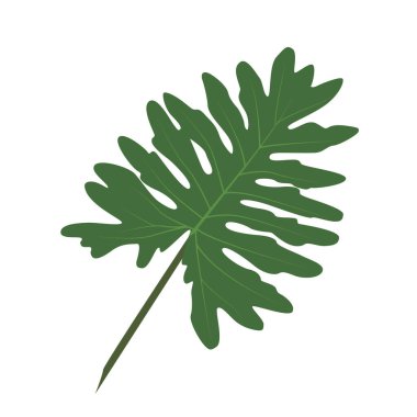 Fikirlerin için vektör yaprağı. Fikirleriniz, yazıcılarınız, dokularınız için mükemmel.