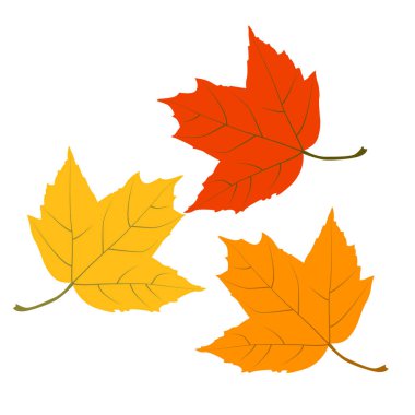 Fikirlerin için vektör yaprağı. Fikirleriniz, yazıcılarınız, dokularınız için mükemmel.