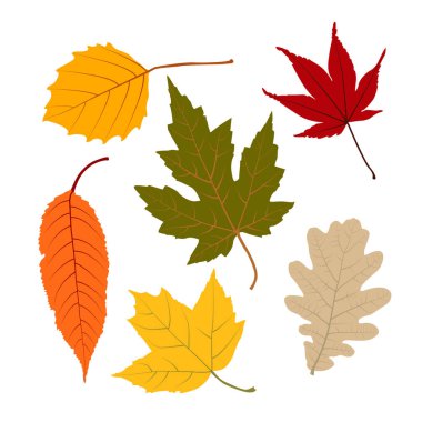 Fikirlerin için vektör yaprağı. Fikirleriniz, yazıcılarınız, dokularınız için mükemmel.