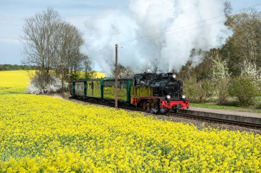Historical train in spring clipart