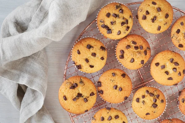 Douze muffins au chocolat fraîchement cuits se refroidissent sur treillis métallique — Photo