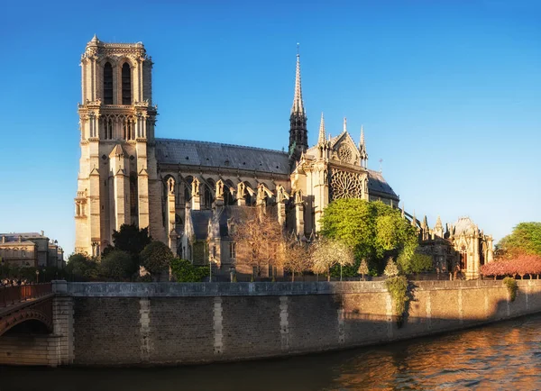 Notre Dame of Paris side view in Spring — Stock Photo, Image