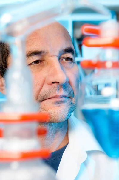 Senior scientist works in chemical lab — Stock Photo, Image