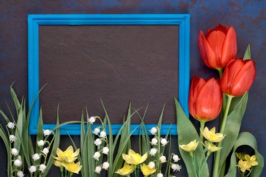 Kırmızı lale ve vadinin zambak ile mavi çerçeve içinde Blackboard 