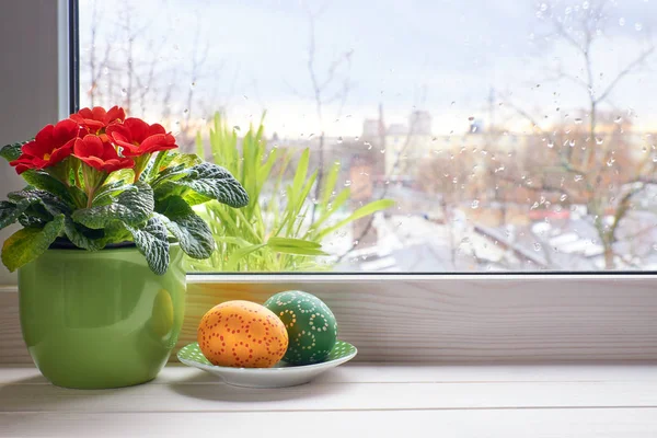 春天的背景与红色草本花在锅和复活节如 — 图库照片