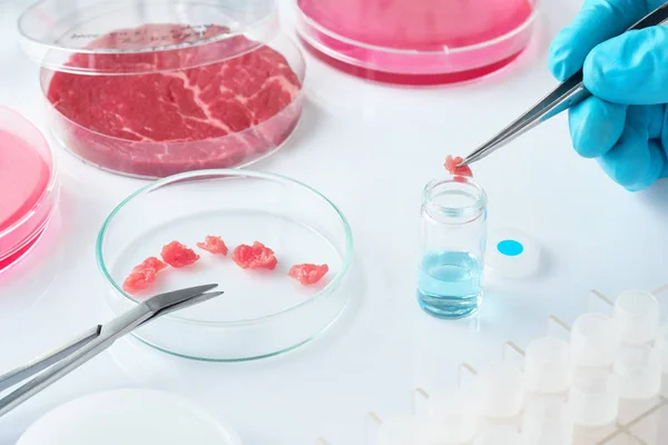 Meat sample in open  disposable plastic cell culture dish in mod — Stock Photo, Image