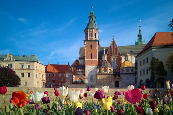 Morgenblick auf die Wawel-Kathedrale und Wawel-Burg auf der Wawe — Stockfoto