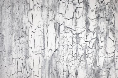 Kaba boyanmış ahşap yüzey çatlaklar, tarafsız arka plan