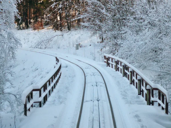 Wooden bridge with rails in a winter forest under thick snow