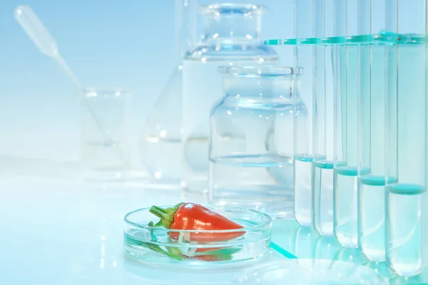 Testing red peppers for chemical contamination — Stock Photo, Image