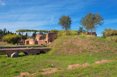 Palatine Hill, Roma 'daki antik kalıntılar