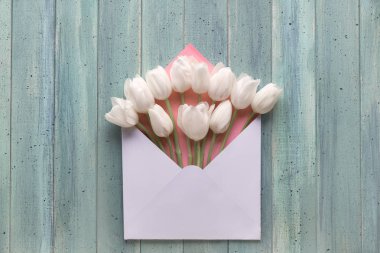 Bahar mevsimi düzlüğü, beyaz ve pembe zarflı beyaz laleler 