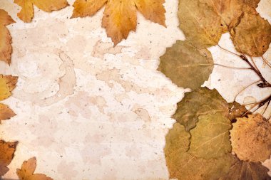 sonbahar çerçeve, uzay