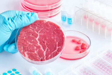 Mod açık tek kullanımlık plastik hücre kültür çanak et örneği