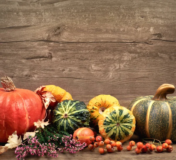 Fond d'automne avec des décorations sèches d'automne sur bois, espace — Photo