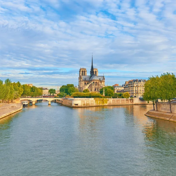 Katedrála Notre-Dame v Paříži, panoramatický obraz — Stock fotografie