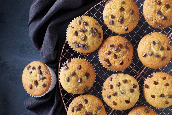 Douze muffins au chocolat fraîchement cuits se refroidissent sur treillis métallique — Photo