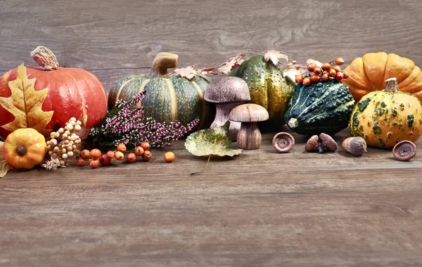 Fond d'automne avec des décorations sèches d'automne sur bois, espace — Photo