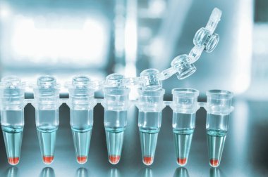 pcr ile dna amplifikasyon için tüpler 