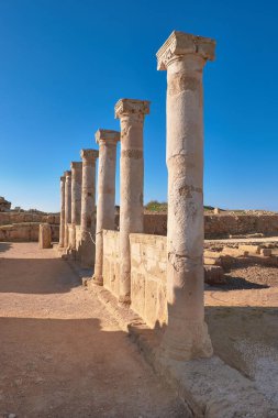 Kato Paphos Arkeoloji Parkı 'ndaki antik tapınak sütunları, Cypru