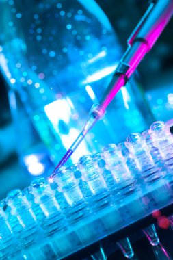 DNA amplifikasyonu için araçlara yakınlaş